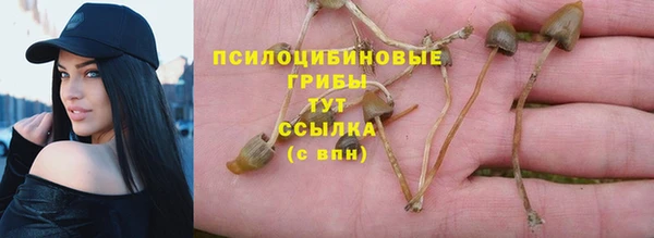 гидра Нягань