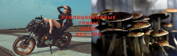 прущий лед Няндома