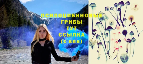 прущий лед Няндома