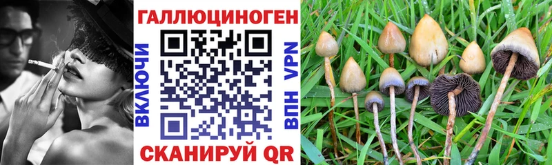 Псилоцибиновые грибы Magic Shrooms  Александровское 
