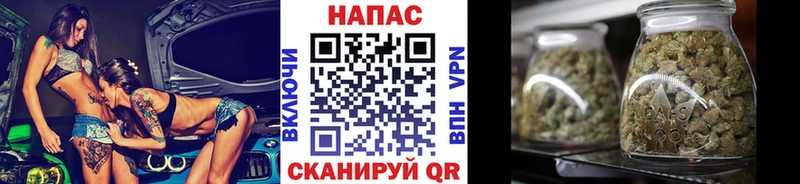 Шишки марихуана MAZAR  Александровское 